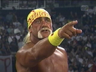 Terry Hulk Hogan Bollea